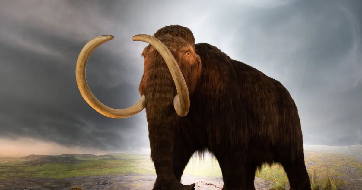 mammut ei söönud liha – aga tema luudes on lämmastikku samapalju kui lõvil