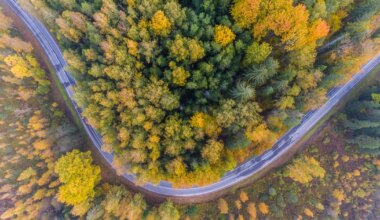 JAAN VIITA ⟩ Kliimaministeeriumi eksimused ei jää ministeeriumi piiridesse. See ohustab tõelist eesmärki...