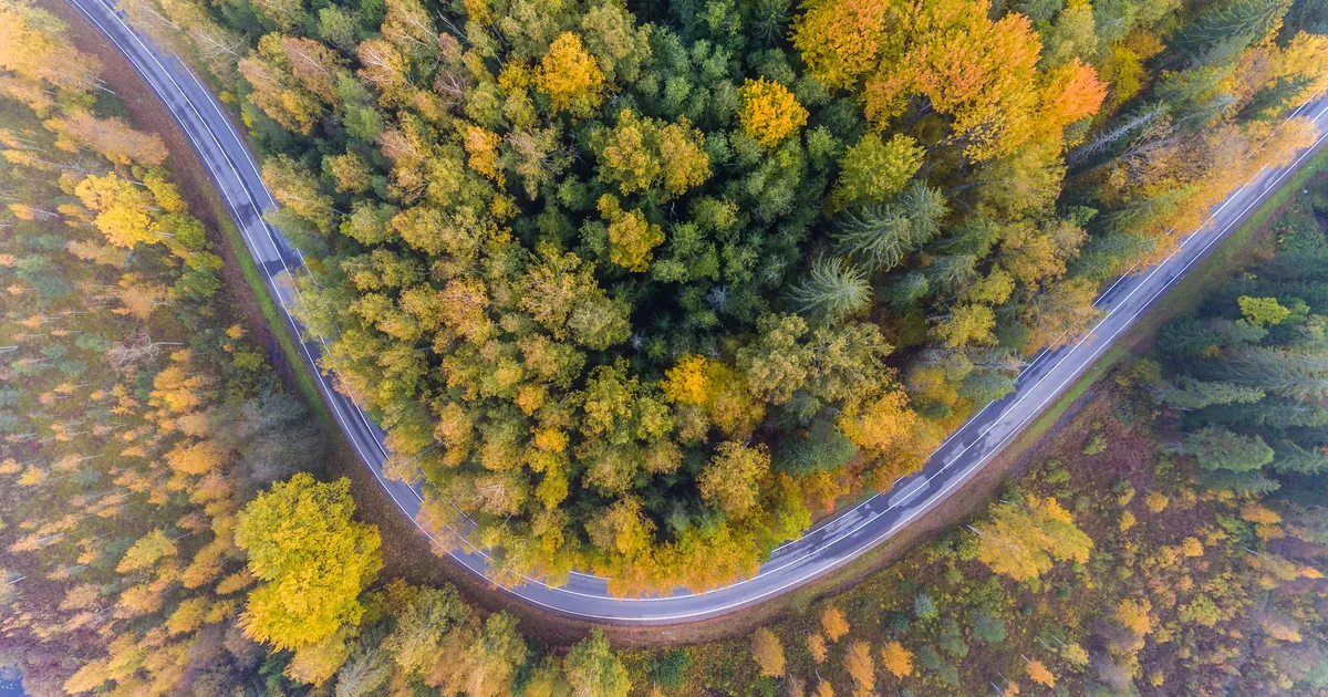 JAAN VIITA ⟩ Kliimaministeeriumi eksimused ei jää ministeeriumi piiridesse. See ohustab tõelist eesmärki...