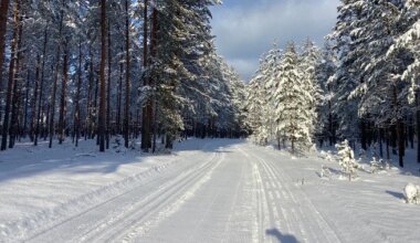 Talveilmad jätkavad võidukäiku, tuul tugevneb