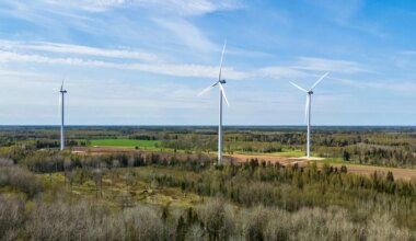 ALEKSEI KELLI ⟩ Riik ostab tuulikute planeeringuid – see on sama, kui kohus saaks iga süüdimõistva otsuse pealt honorari