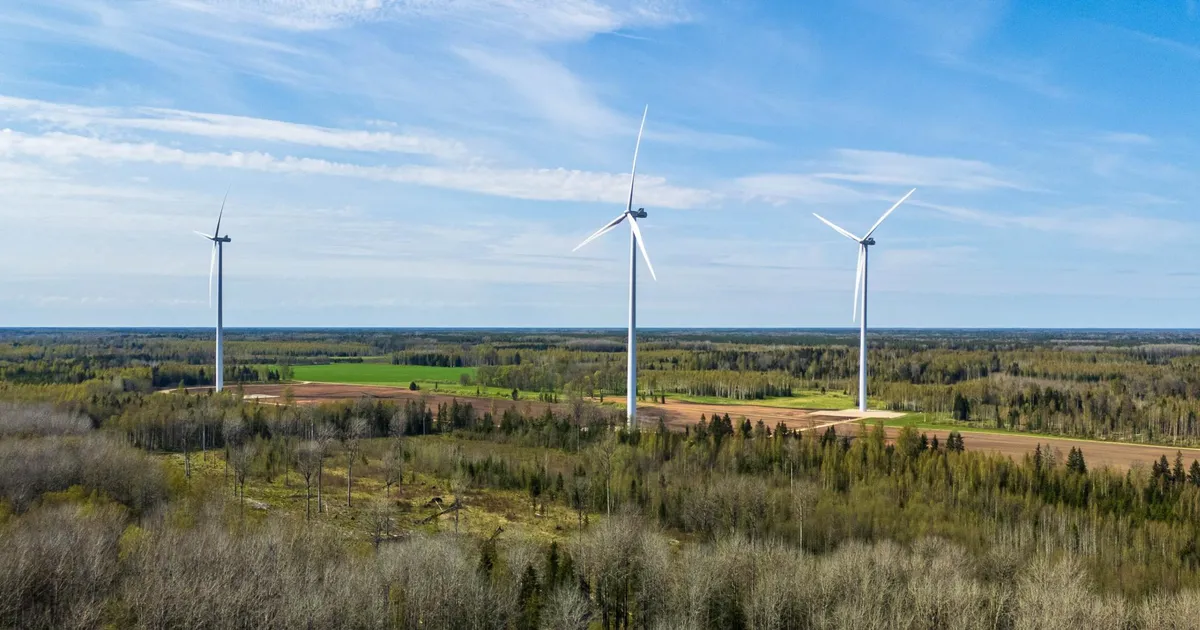 ALEKSEI KELLI ⟩ Riik ostab tuulikute planeeringuid – see on sama, kui kohus saaks iga süüdimõistva otsuse pealt honorari