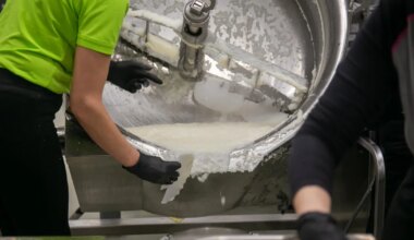 Pärnu lasteaedade keskköök on inspektorite luubi all - parnu.postimees.ee