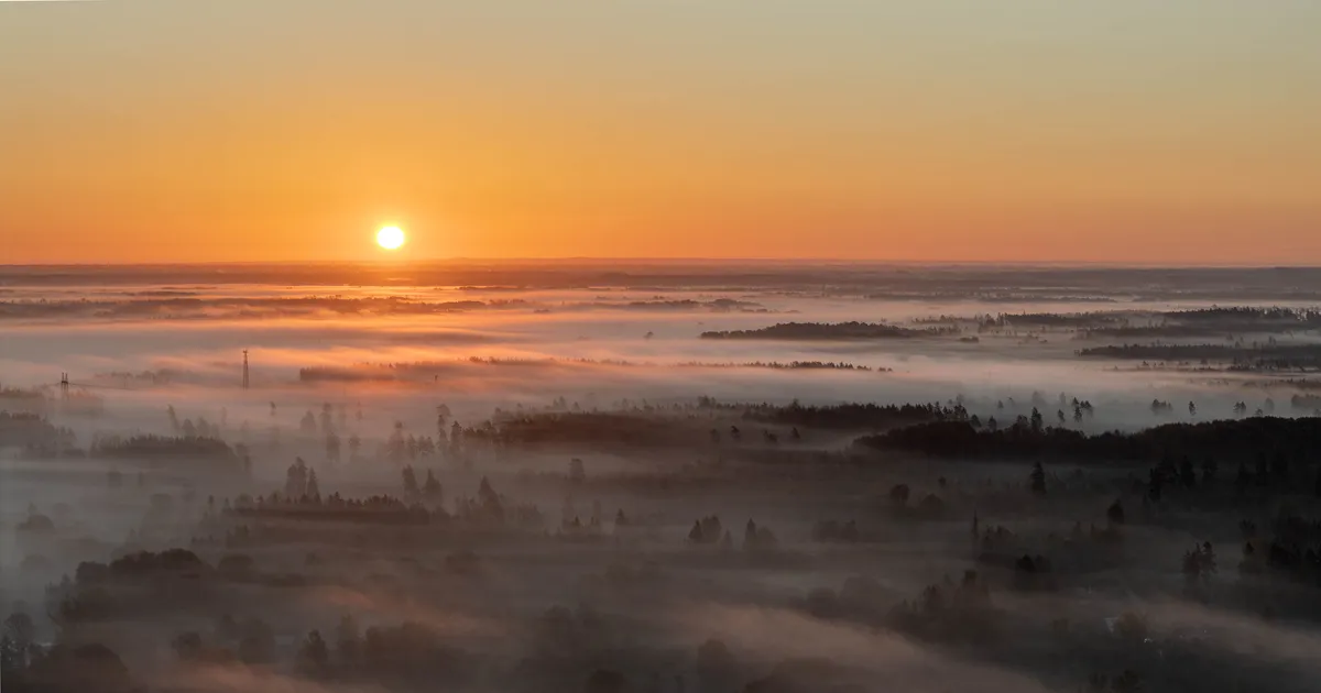 2025. aasta oli Eestis eriliselt soe