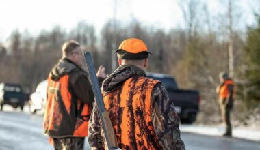 Järvamaa jahimeestel on kirbul veel kaks hunti