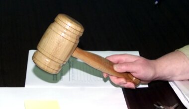 MAJANDUSKOMMENTAAR ⟩ Kuidas lõpetada surnuksmenetlemine? - Majandus