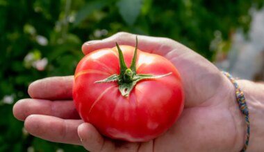 Lüpsjast juhini: kes võidab maksuküüru kaotamisest enim? - Maa Elu