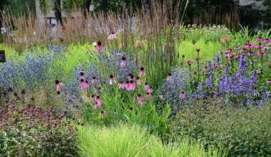 SPETSIALISTID SOOVITAVAD ⟩ Parimad aiaraamatud, mida lugeda