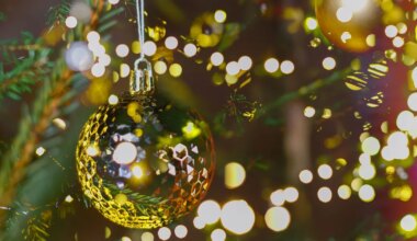 Ilusat uut aastat! - Lõuna-Eesti Postimees