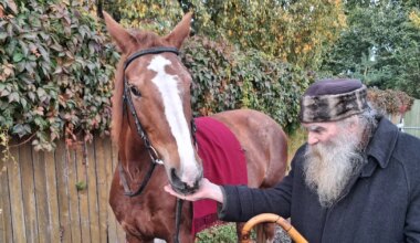 IGOR MANG ⟩ Horoskoop 2026. aastaks - Saarte Hääl