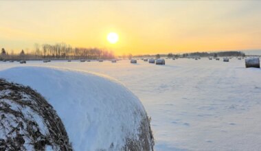 Kohtla-Järvel kadunud mees jõudis koju - Postimees