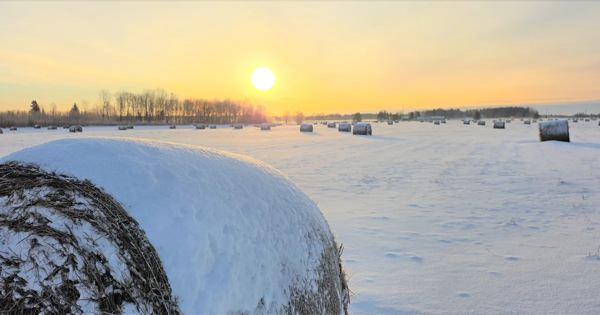 Kohtla-Järvel kadunud mees jõudis koju - Postimees