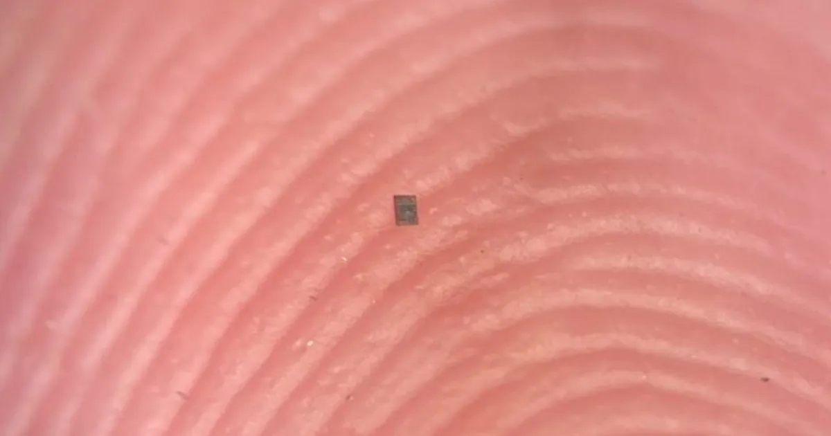 VAATA VIDEOT ⟩ See on teadaolevalt maailma tillem programeeritav robot – esmapilgul seda ei märkagi