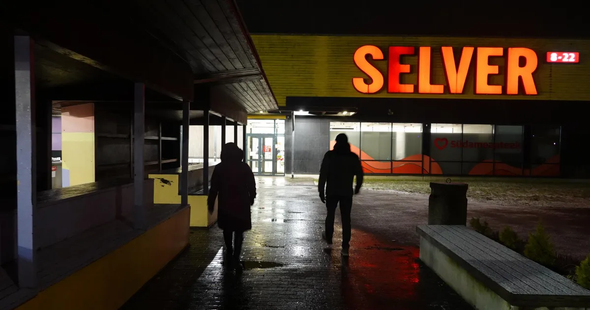 REBASTE JA PÄKAPIKKUDE ÖÖ ⟩ Kuidas ma erariides politseinikega õhtuse jalutuskäigu tegin