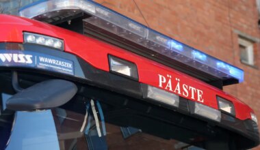 PÄÄSTEAMETI TEATED ⟩ Ilutulestik põhjustas põlenguid - Põhjarannik