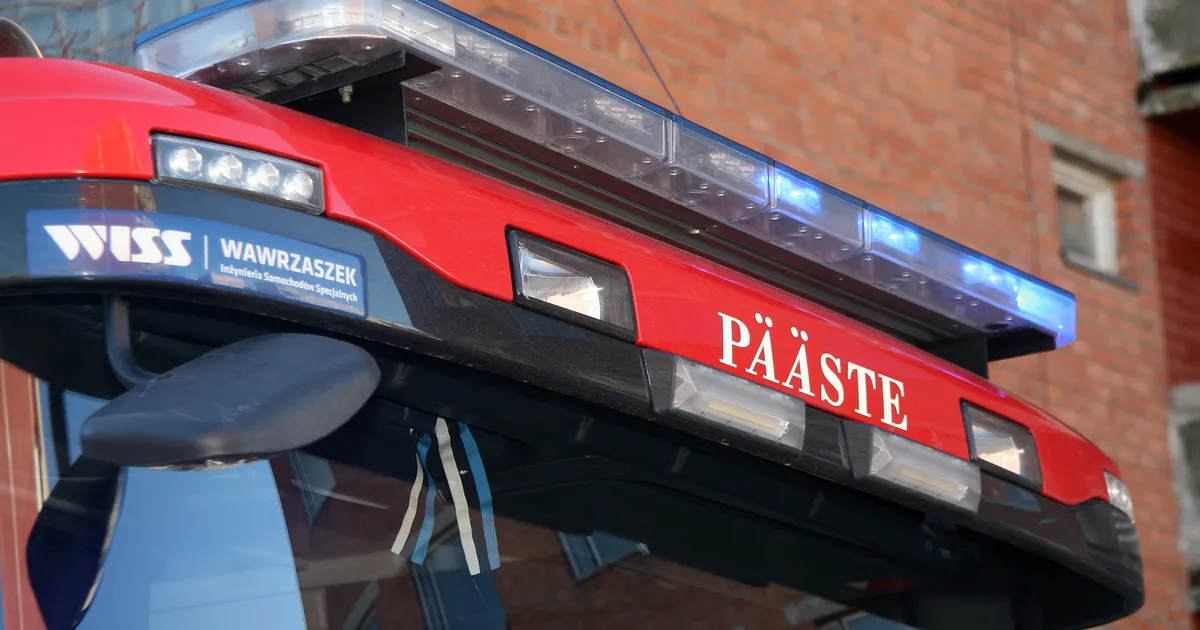 PÄÄSTEAMETI TEATED ⟩ Ilutulestik põhjustas põlenguid - Põhjarannik