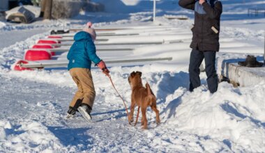 Esmaspäev toob läbivalt miinuskraade - Ilmajaam