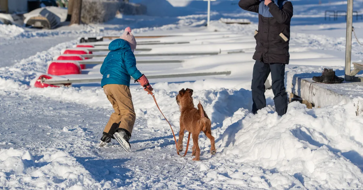 Esmaspäev toob läbivalt miinuskraade - Ilmajaam