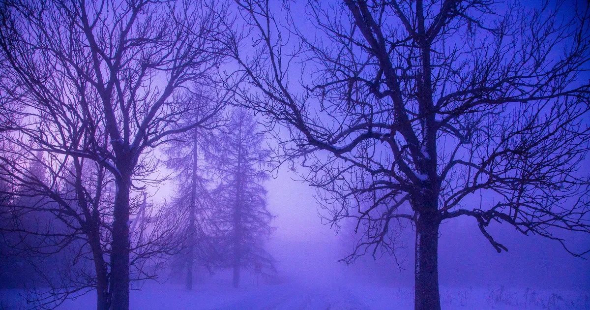 Eeloleva nädala ööd toovad krõbedaid miinuskraade - Ilmajaam