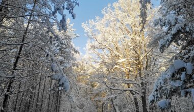 NÄDALAPROGNOOS ⟩ Ees on väga kaalukad päevad: midagi suurt võib juhtuda - Elu24