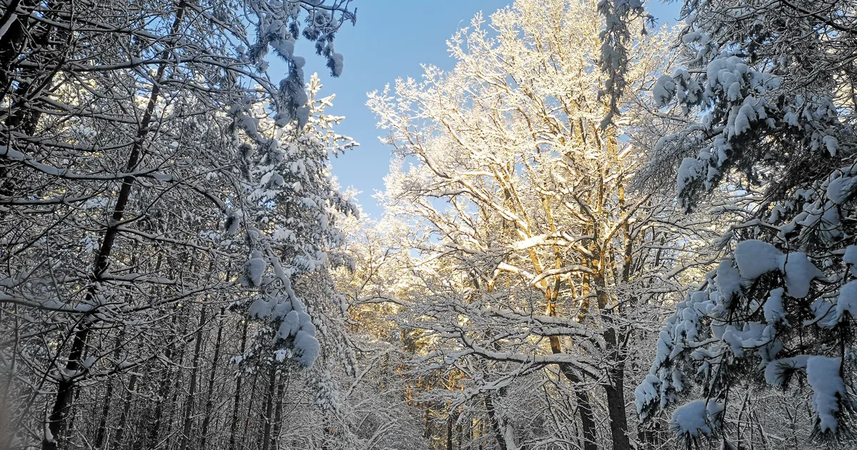 NÄDALAPROGNOOS ⟩ Ees on väga kaalukad päevad: midagi suurt võib juhtuda - Elu24