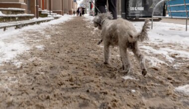 Pärnu soolatab kõnniteid, kuigi elanikud pahandavad ja ekspert ei soovita