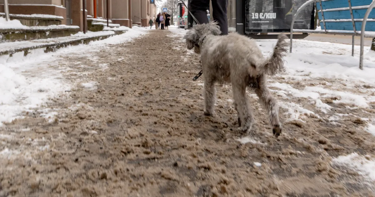 Pärnu soolatab kõnniteid, kuigi elanikud pahandavad ja ekspert ei soovita