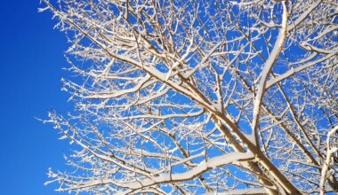 võetakse ette asju, milleks muul ajal julgust või jõudu napib