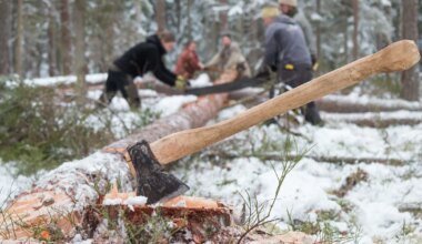 Keskkonnakirve «auhinna» sai kaela valitsus, positiivse tunnustuse pälvis riigikontroll