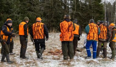 Hundiküttimismaht on suures osas täidetud. Viljandimaal lube veel on - Sakala