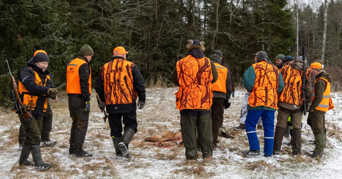 Hundiküttimismaht on suures osas täidetud. Viljandimaal lube veel on - Sakala