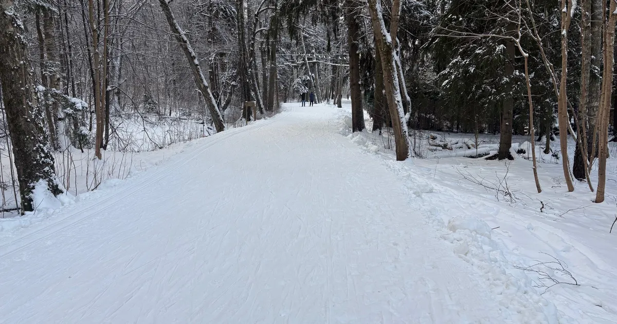 Tallinnas valmis mitu uut suusarada