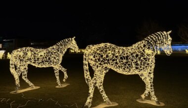 PILK PEALE ⟩ Eesti ettevõtte disainitud 100 valgushobust ehib Kanada kuulsat ratsakeskust