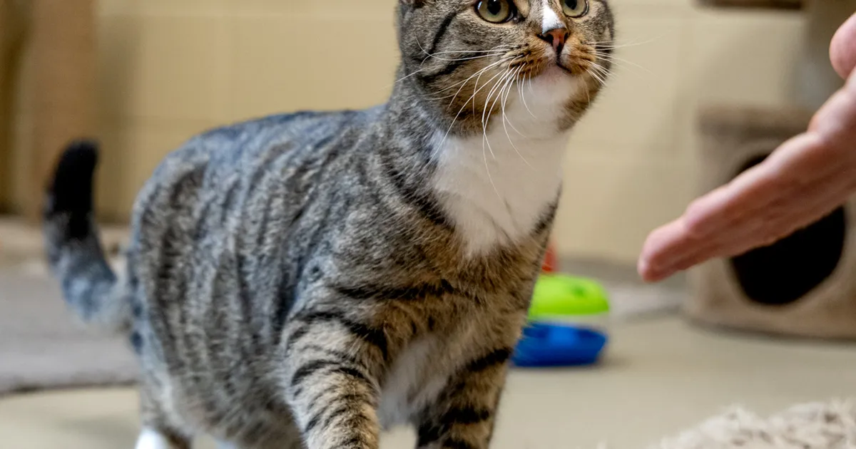 KODUOTSIJA ⟩ Diego otsib kodu, kus õppida inimest usaldama