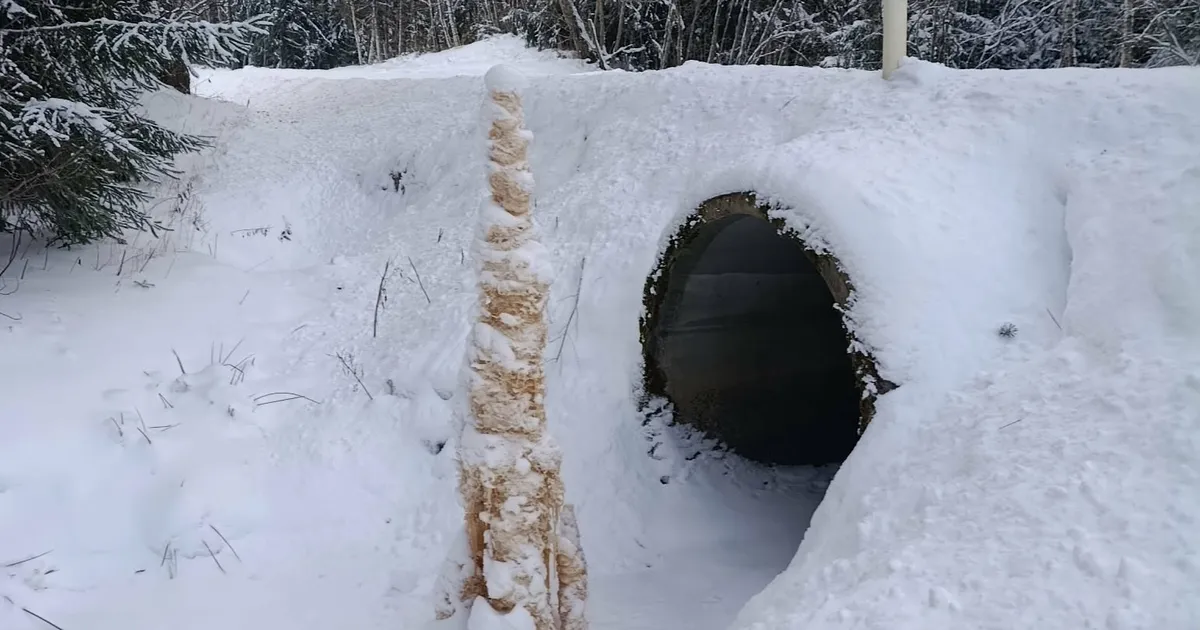 Talv püstitas kraavi põhja kummalise samba