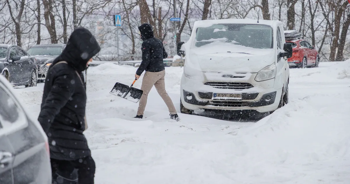 GALERII ⟩ Vaata, milline näeb välja lumme uppunud Tallinn - Postimees