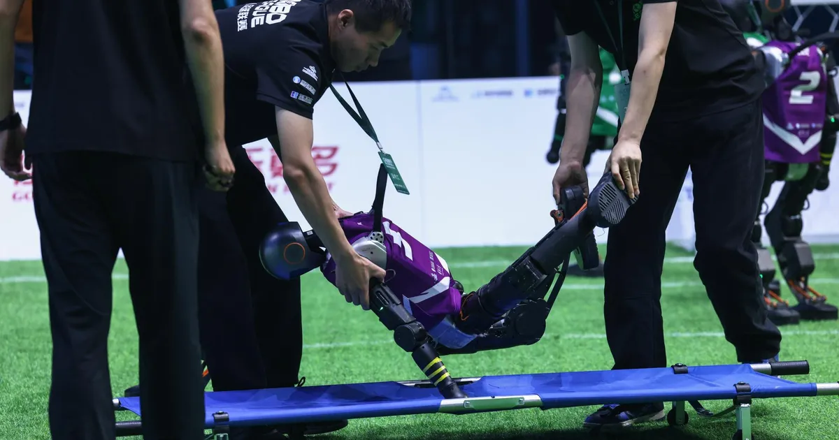 MICHAEL S. NEIBERG ⟩ «Tehisaru-hallutsinatsioon pole naljakas, kui panused on kõrged»