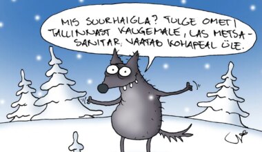 JUHTKIRI ⟩ Häda Tallinna suurhaigla pärast