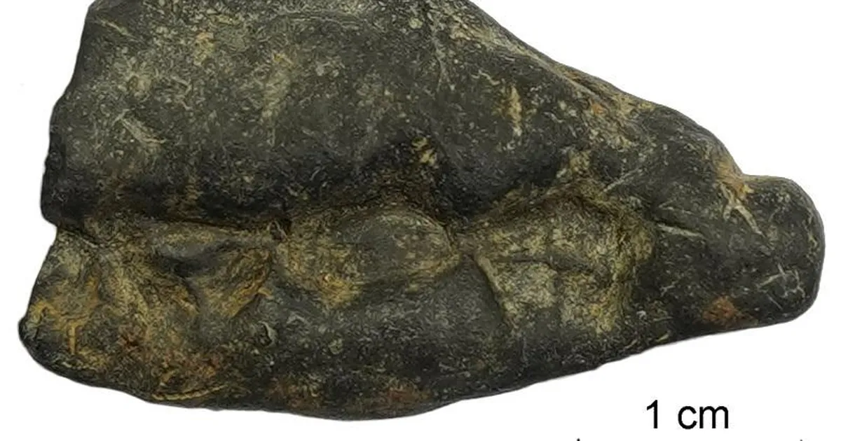 Kiviaja «näts» paljastas 10 500 aasta vanuse saladuse