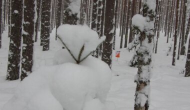 Eesti meistrid selgusid vaatamata tormiiilidele ja lumeuputusele
