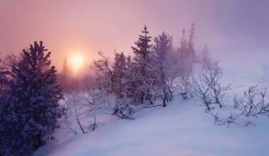 SODIAAGISOSINAD ⟩ Peagi läheb kergemaks: uued uksed hakkavad avanema