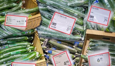 ROHELINE LUKSUS ⟩ Eestimaiste kurkide hind lööb ostjad pahviks. Jaeketid ja kurgikasvataja selgitavad, miks hind nii kõrge on