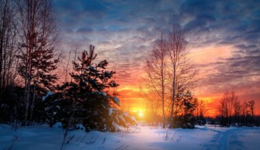 Kaksik peaks loobuma mõttetust rabelemisest, Skorpioni mõttemaailm vajab korrastamist