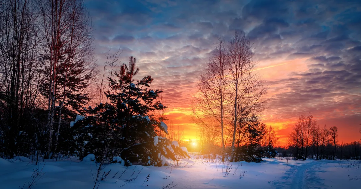 Kaksik peaks loobuma mõttetust rabelemisest, Skorpioni mõttemaailm vajab korrastamist