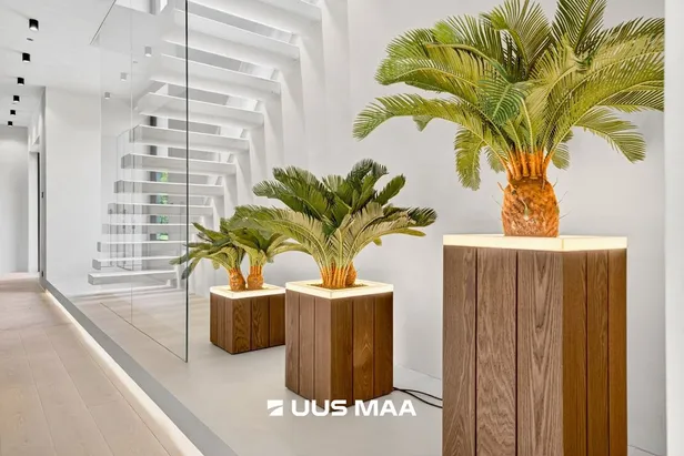 Elamu on avar ja valgusküllane.