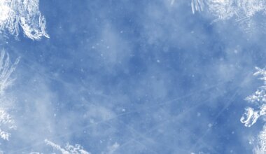 Sõnni maailmapilt muutub asjalikumaks, Lõvi töised toimetused vajavad täit tähelepanu