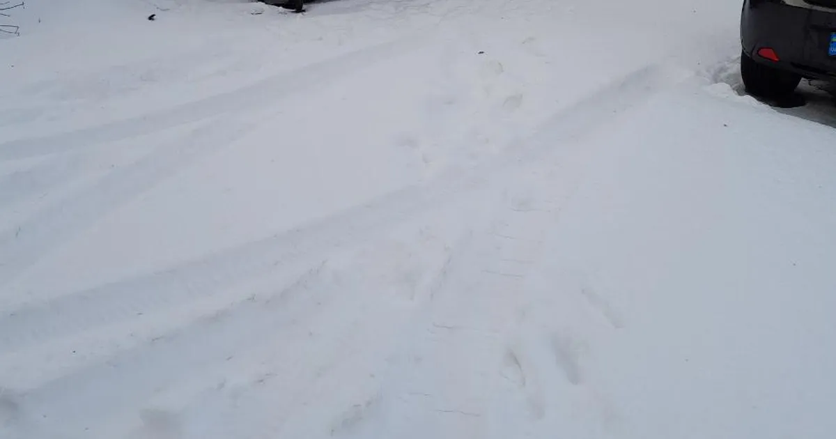 Ragn-Sells esitas kohvikuomanikule värske lume tõttu tühisõiduarve