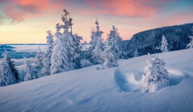 Kalade unistused saavad uue hingamise, Sõnni vaated elule avarduvad