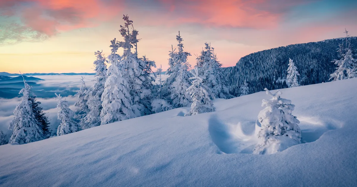 Kalade unistused saavad uue hingamise, Sõnni vaated elule avarduvad