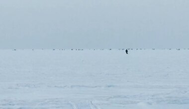«NAGU ÖÖ JA PÄEV» ⟩ Pärnu lahe jää soosib lõpuks talvist ahvenapüüki